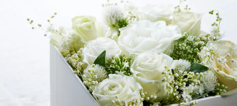 Květinové-Krabičky.cz